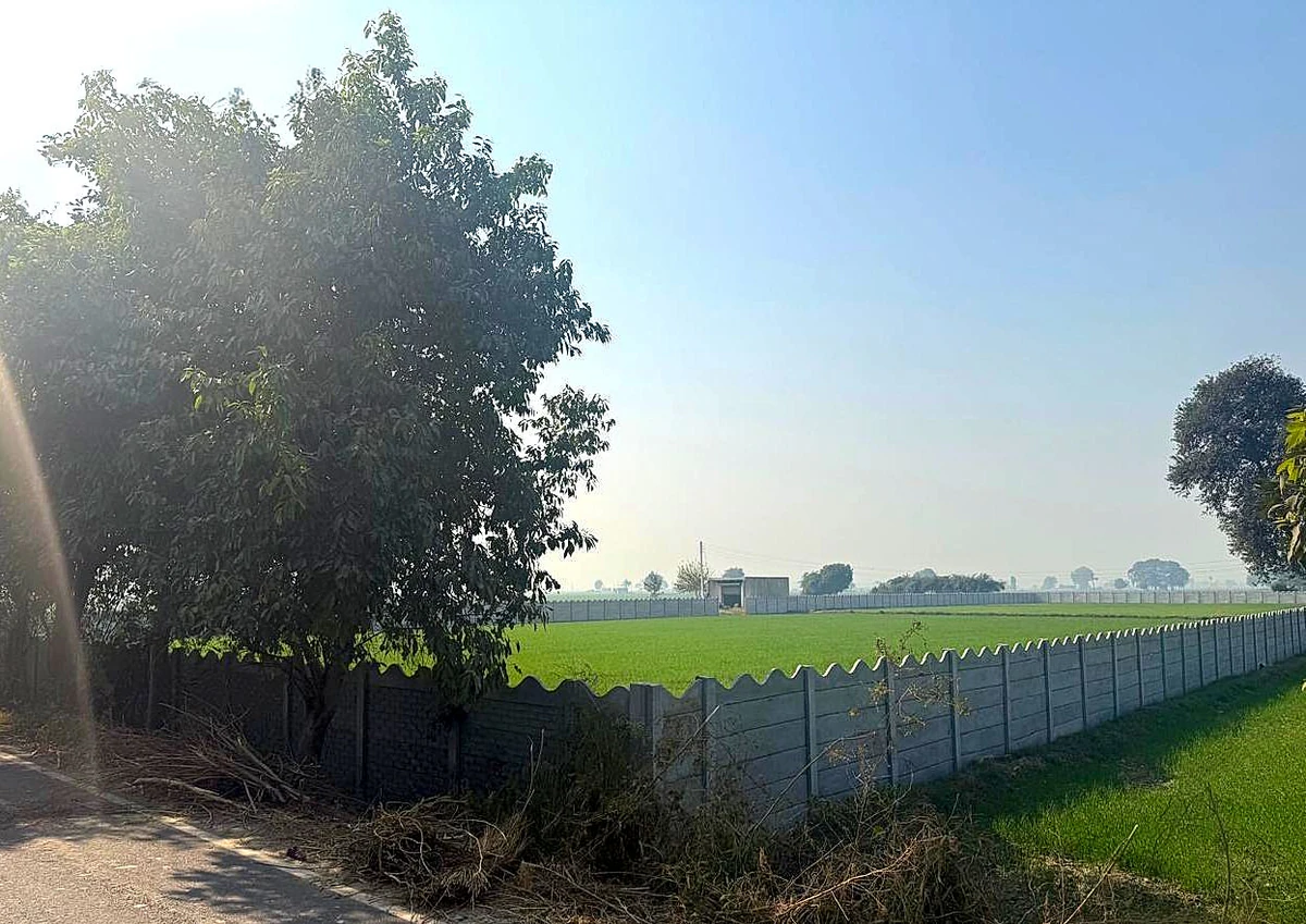 5FQR+9V5, Bagpur Khurd, Haryana, India