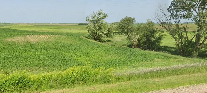 Datia, Madhya Pradesh 475661, India preview 3