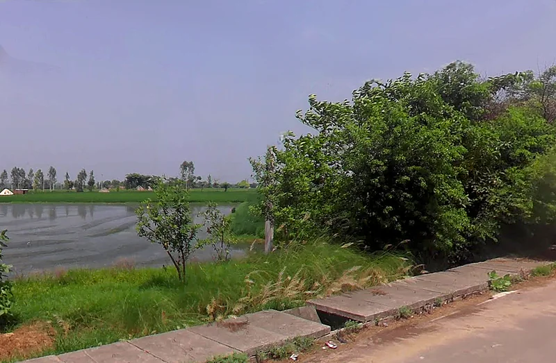 3M77+HVW, Bodhani, Loatani, Haryana 136129, India preview 2