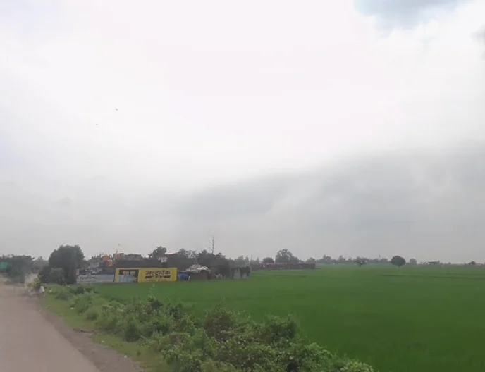 Agricultural Land in Robertsganj / madhupur, Sonbhadra