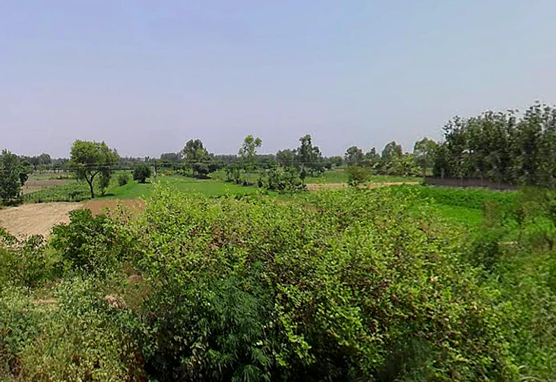 Q434+88C, Bangarpur, Uttar Pradesh 245205, India preview 2