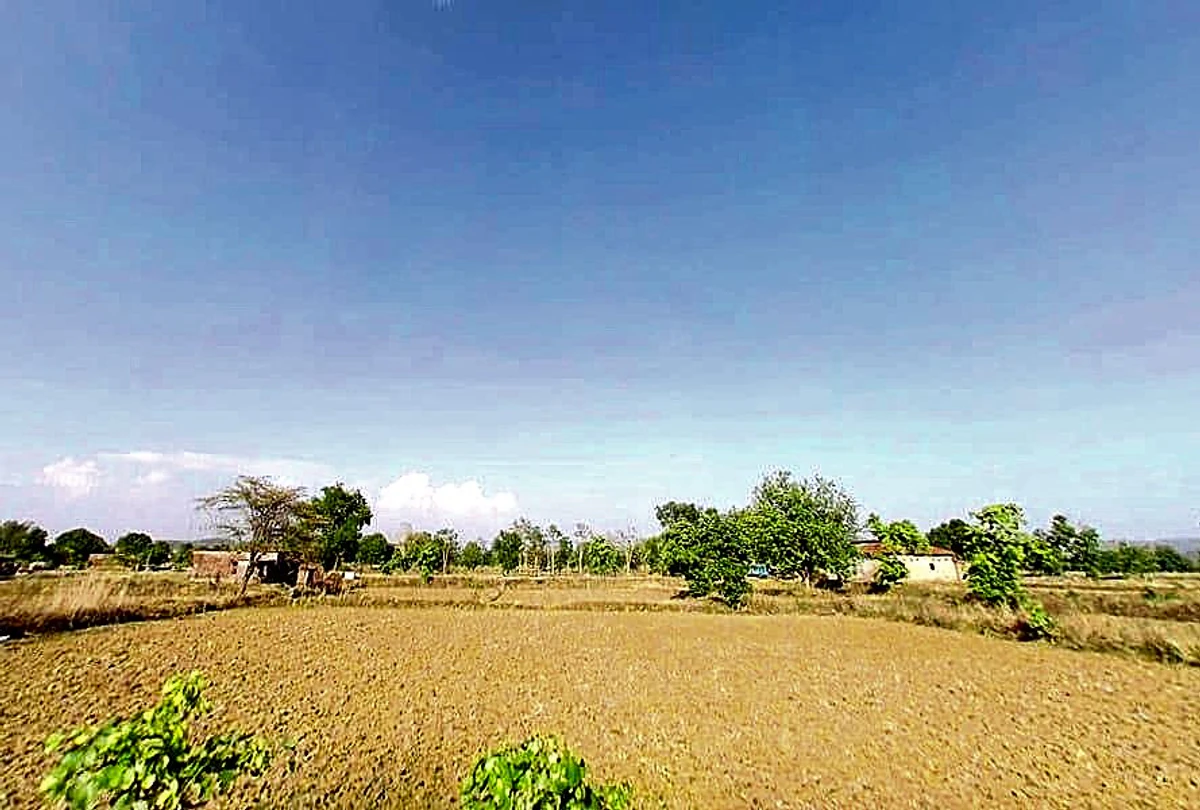 Agricultural Land in Jurhera, Bharatpur