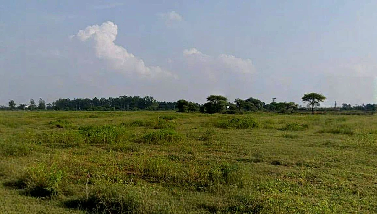 Manglaya Sadak, Indore, Madhya Pradesh, India