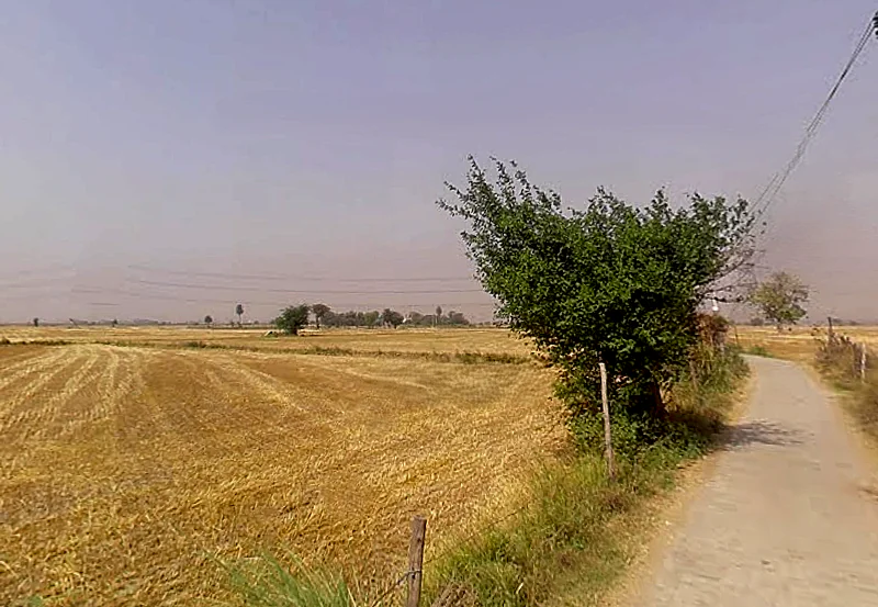 Kasna Village, Greater Noida, Uttar Pradesh 201312, India preview 3