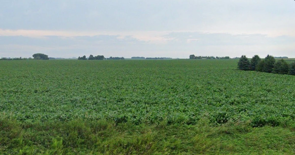 Sasabarad, Madhya Pradesh 451228, India