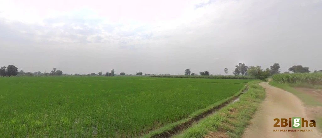 Bhogpur, Punjab 144201, India