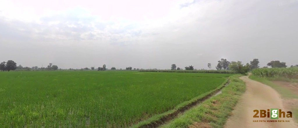 Bhogpur, Punjab 144201, India