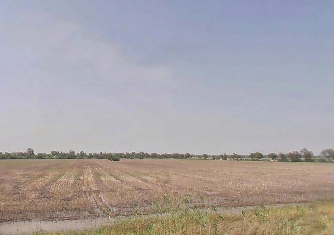 3 Rpm, Rajasthan, India