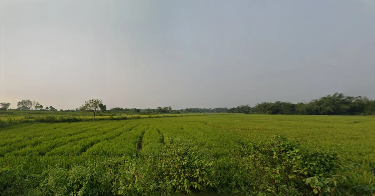 Nikunjapur, West Bengal 722144, India