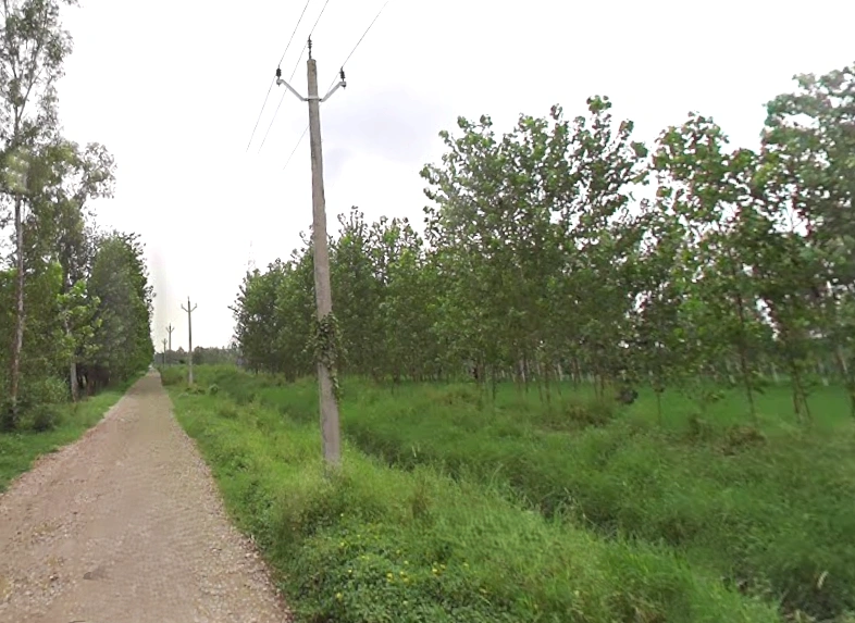 Maheshwari Kalan, Uttar Pradesh 247120, India