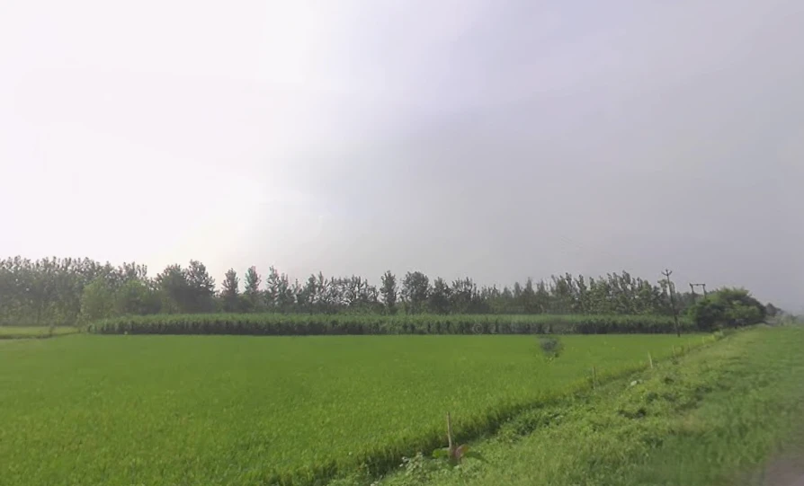 G6R5+R9G, Mirganj, Uttar Pradesh 272175, India