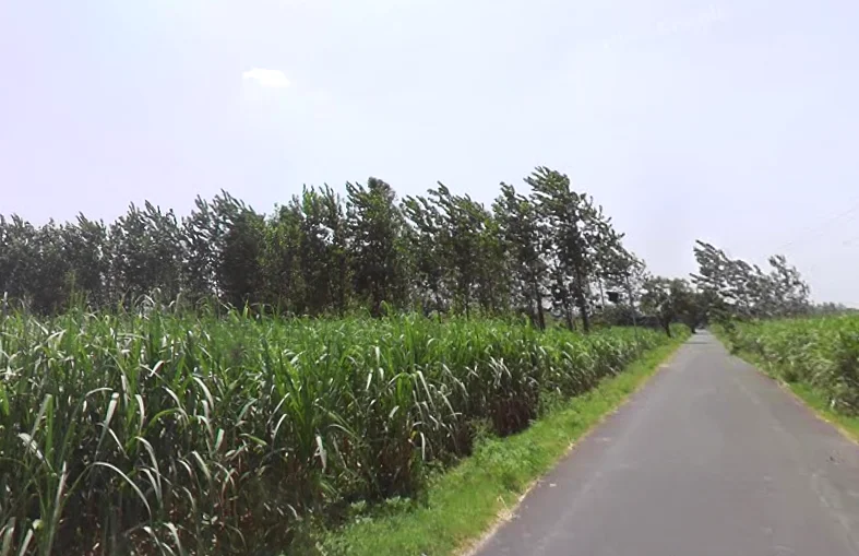 Chuchawali, Uttar Pradesh 245205, India preview 2