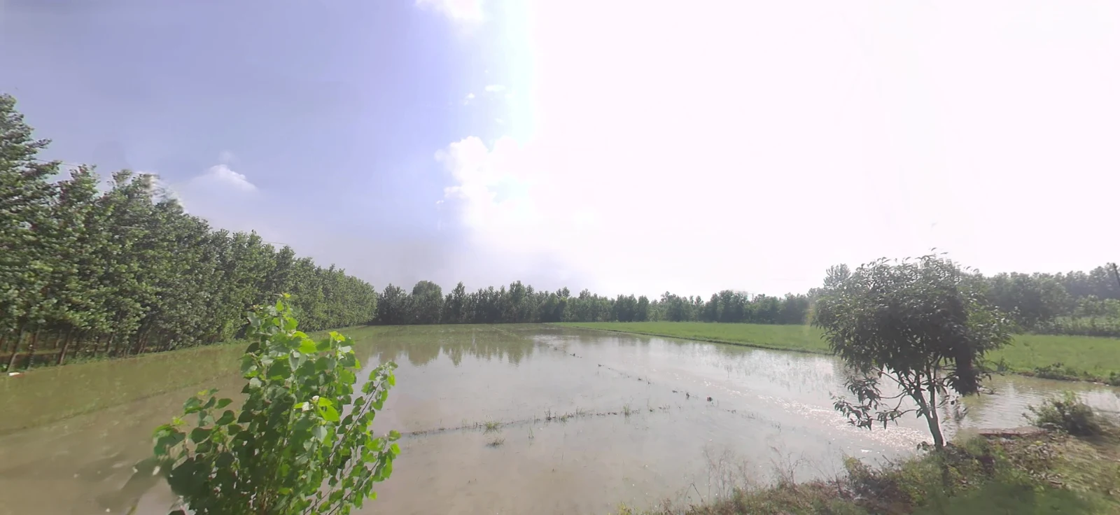 Biharigarh, Uttar Pradesh 247662, India preview 2