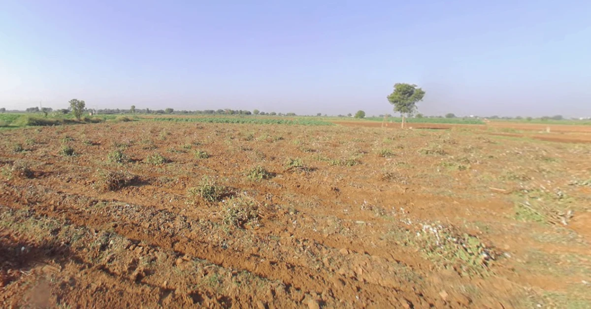 Sokali, Gujarat 382150, India