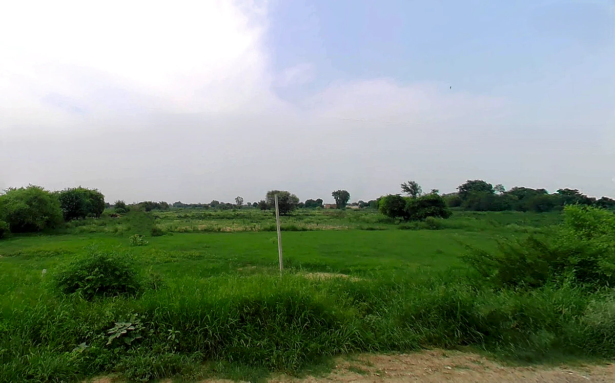 Bagla Rd, Hisar, Haryana, India