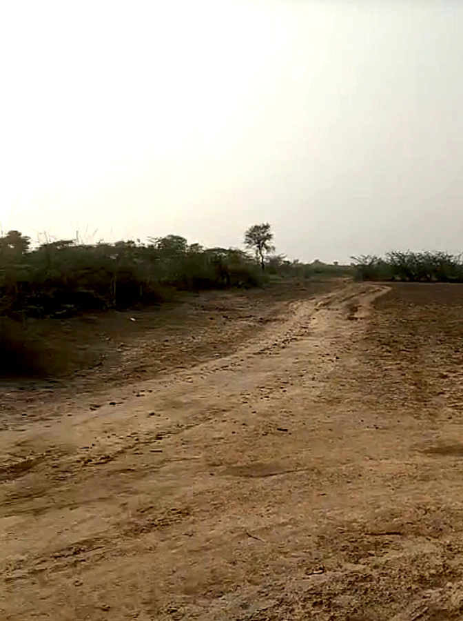 7V33+26, Jola, Rajasthan 304021, India