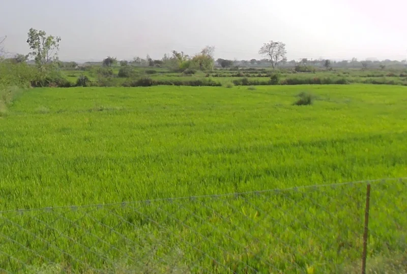 Bhilai, Chhattisgarh 493441, India preview 3