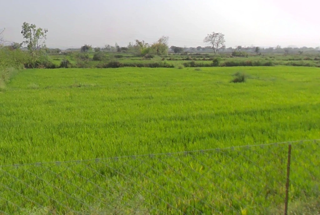 Bhilai, Chhattisgarh 493441, India