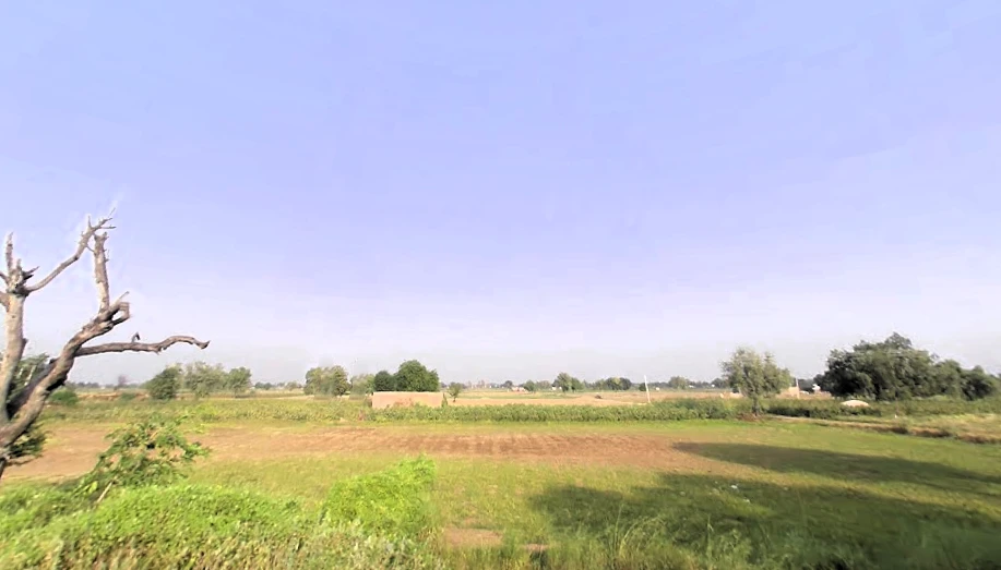 Bhattu Mandi, Haryana 125053, India