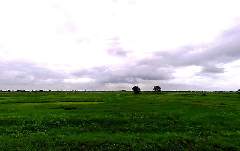 Piproli, Rajasthan, India