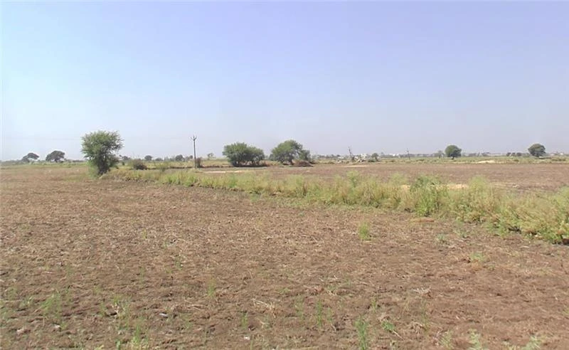 Dhuri, Punjab 148024, India
