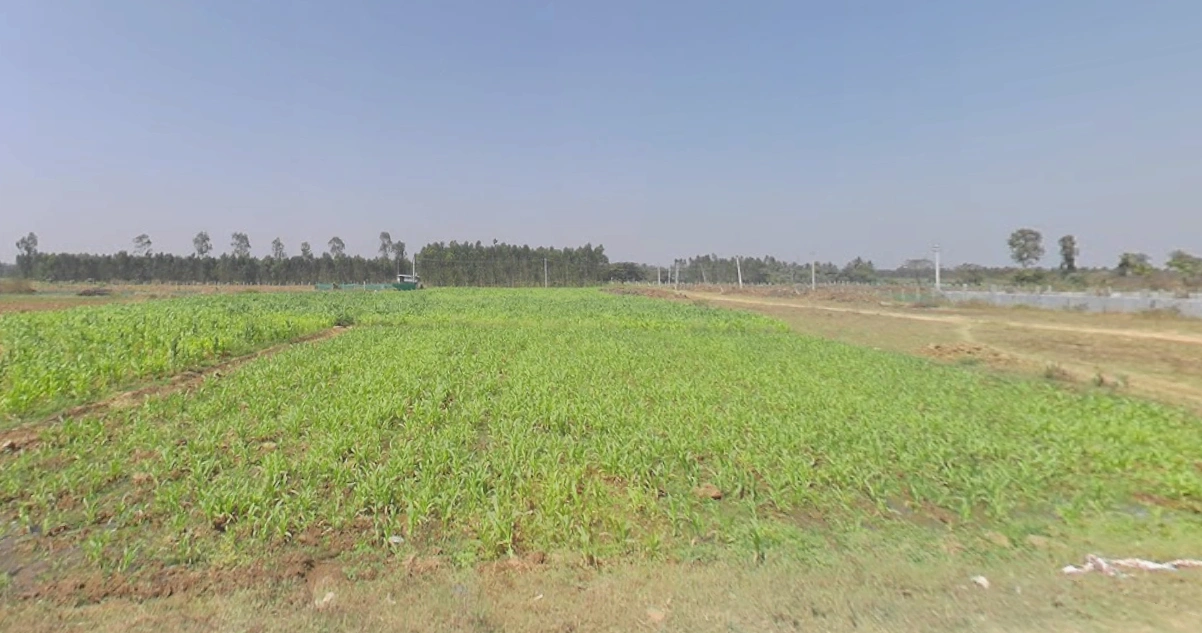 Krishnarajanagara, Karnataka 571602, India