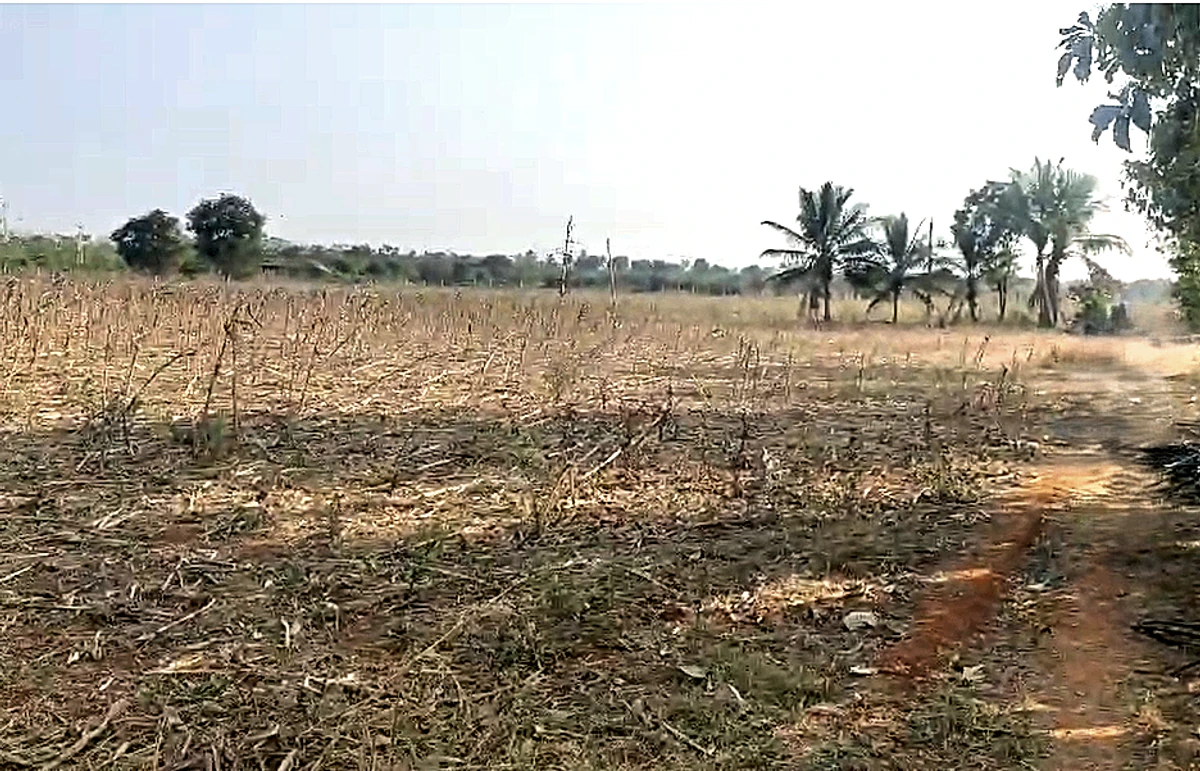 5C8F+PQ Naranagepalle, Andhra Pradesh, India