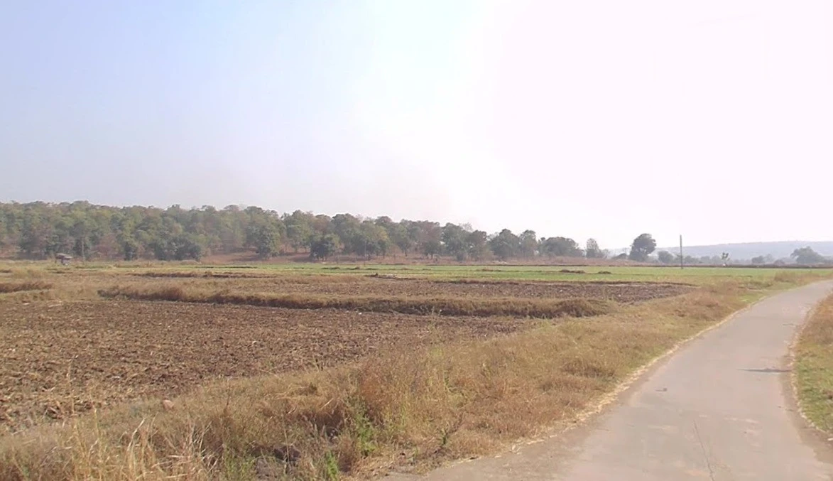 Junwani Kalan, Chhattisgarh 493449, India