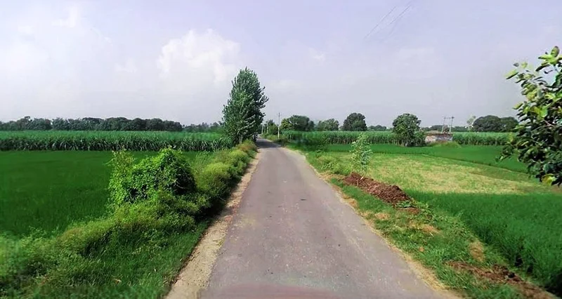 Agricultural Land in Raghunathpur , Purulia