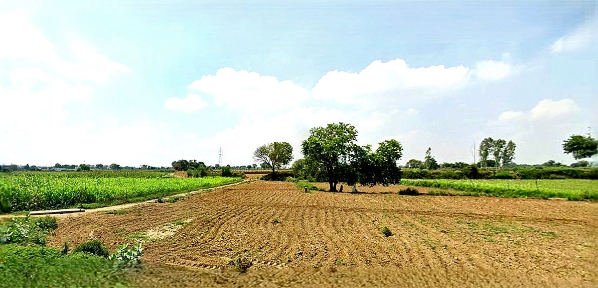 Agricultural Land in Faizabad / rudauli, Ayodhya