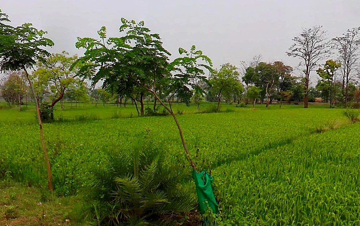 Singbandha, Chhattisgarh, India