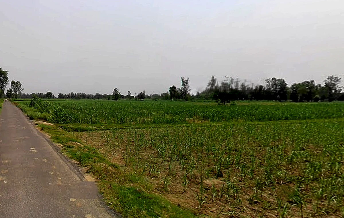 Garh Mukteshwar, Uttar Pradesh 245205, India