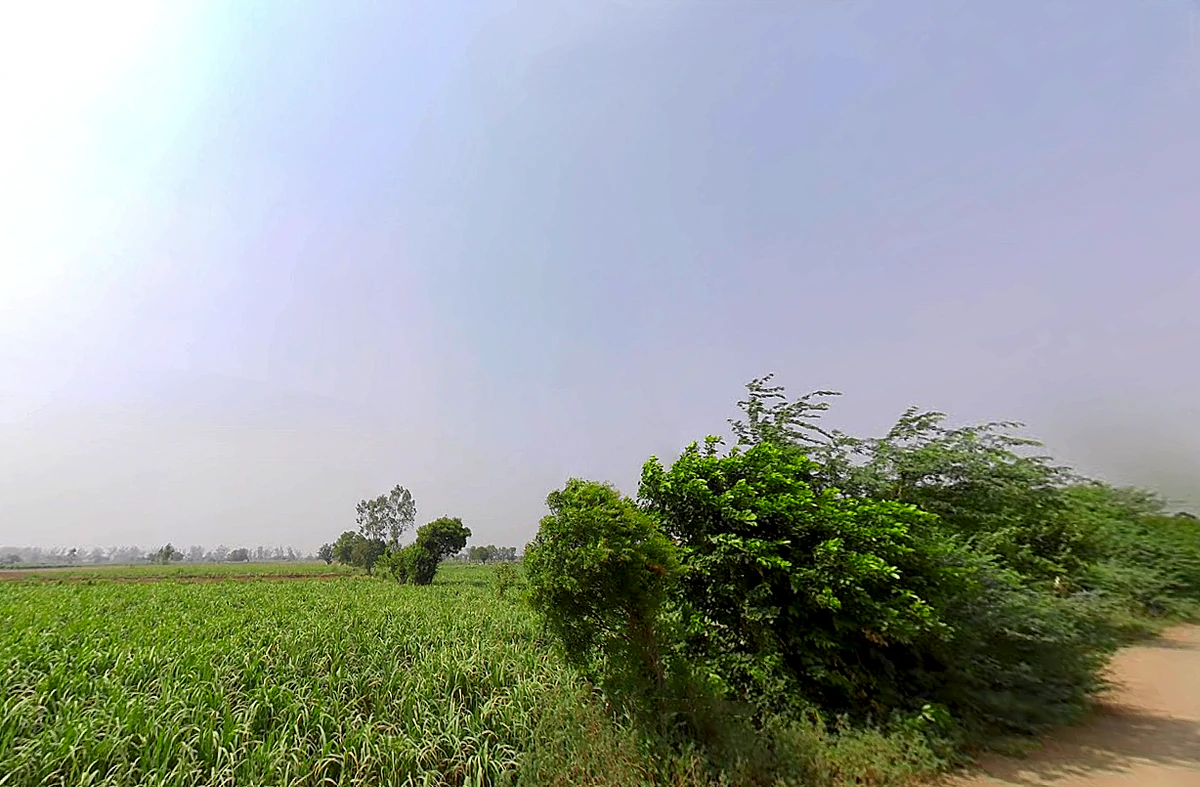 Butana, Haryana 131302, India