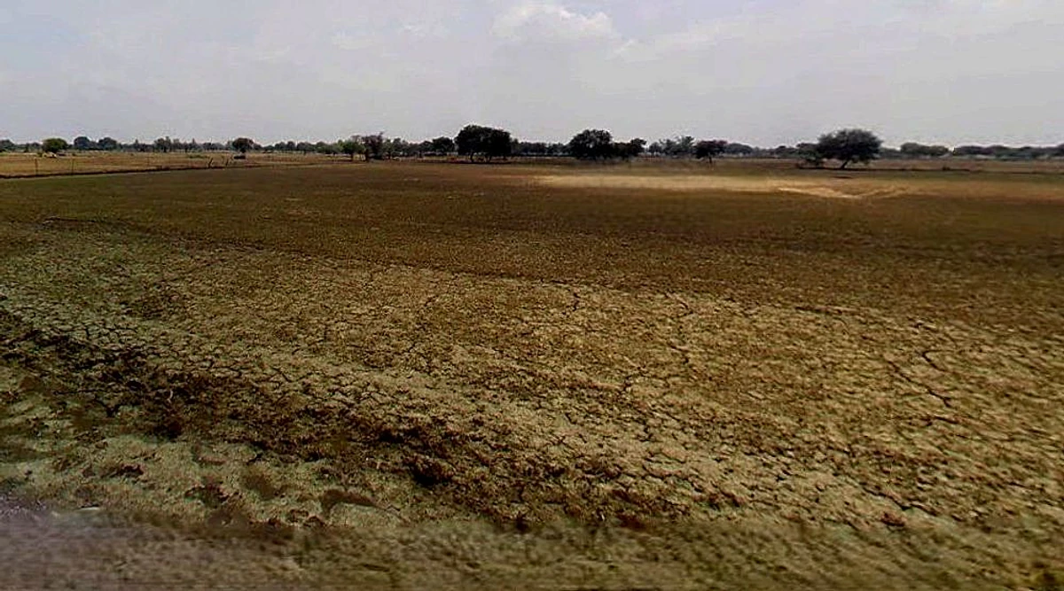 Jhusi, Uttar Pradesh 211019, India
