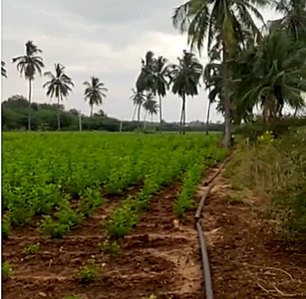 4G33+WW Thurakalapatnam, Andhra Pradesh, India preview 3