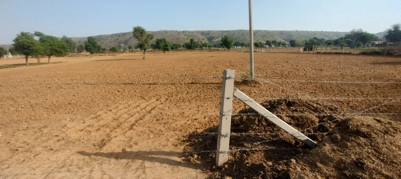 Kerwawal, Rajasthan, India