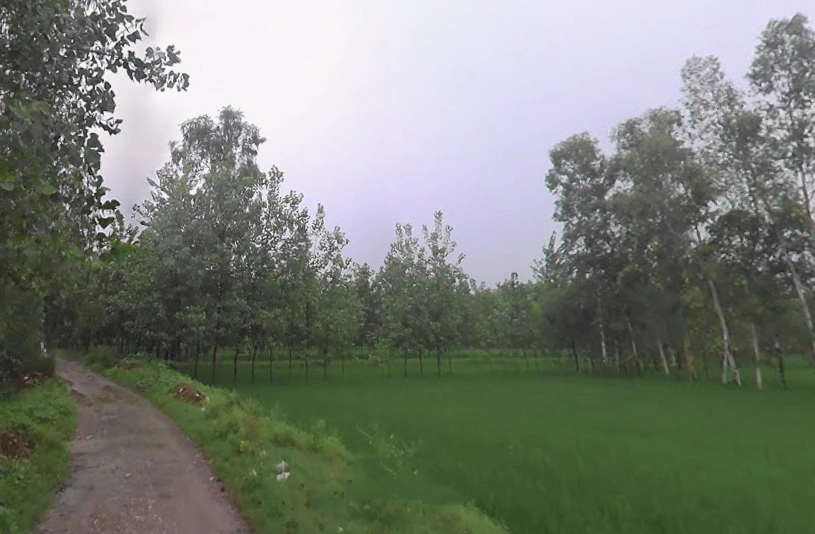 Fatehganj Pashchimi, Uttar Pradesh 243501, India