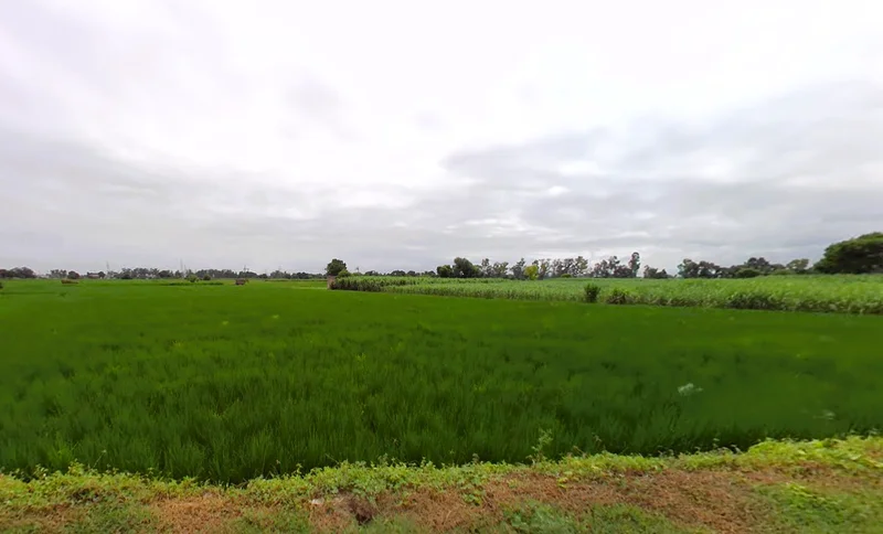 Patti Kalyana, Haryana 132102, India preview 3