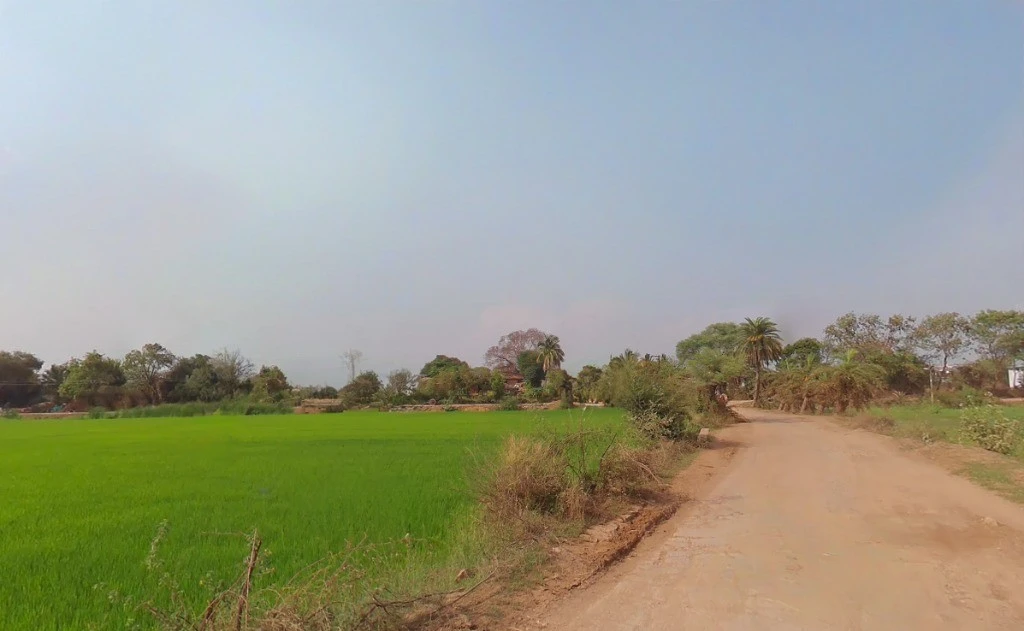 Tipani, Chhattisgarh 493770, India