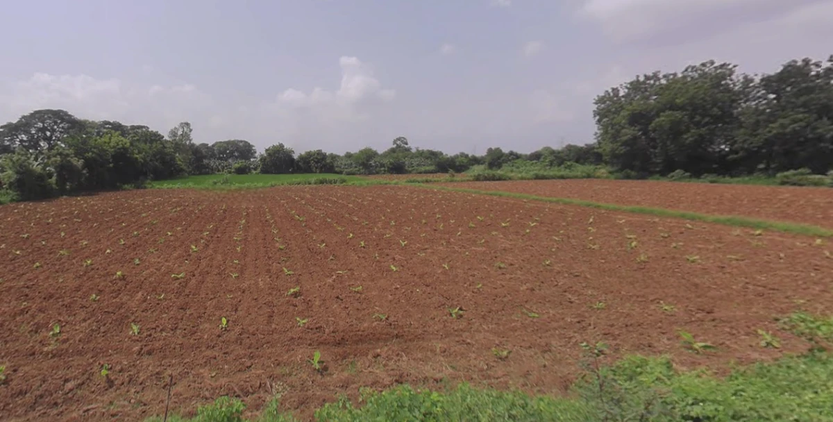 Rethal, Gujarat 382110, India