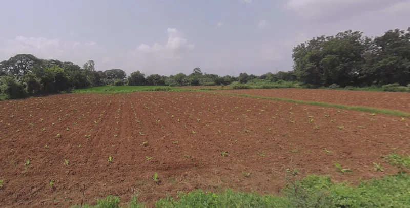 Agricultural Land in Sanand/rethal, Ahmedabad