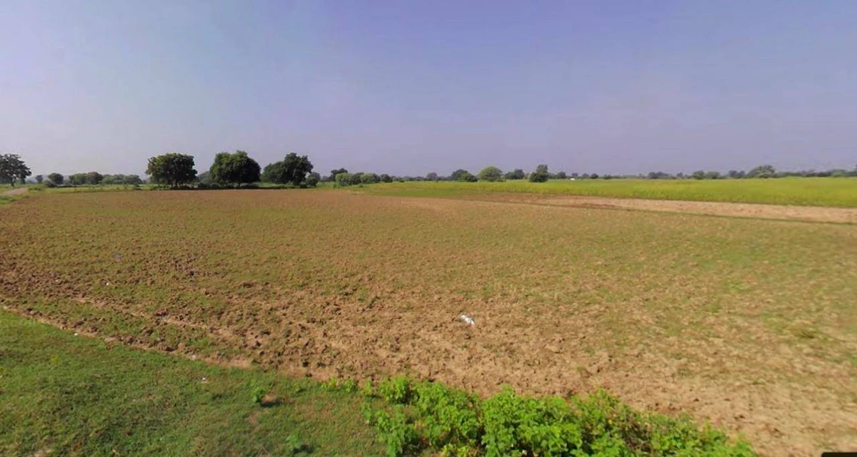 Biswan, Uttar Pradesh 261201, India