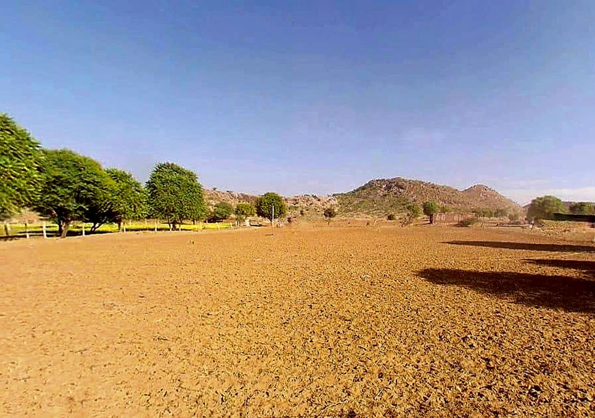 Agricultural Land in Lanji, tekri, Balaghat