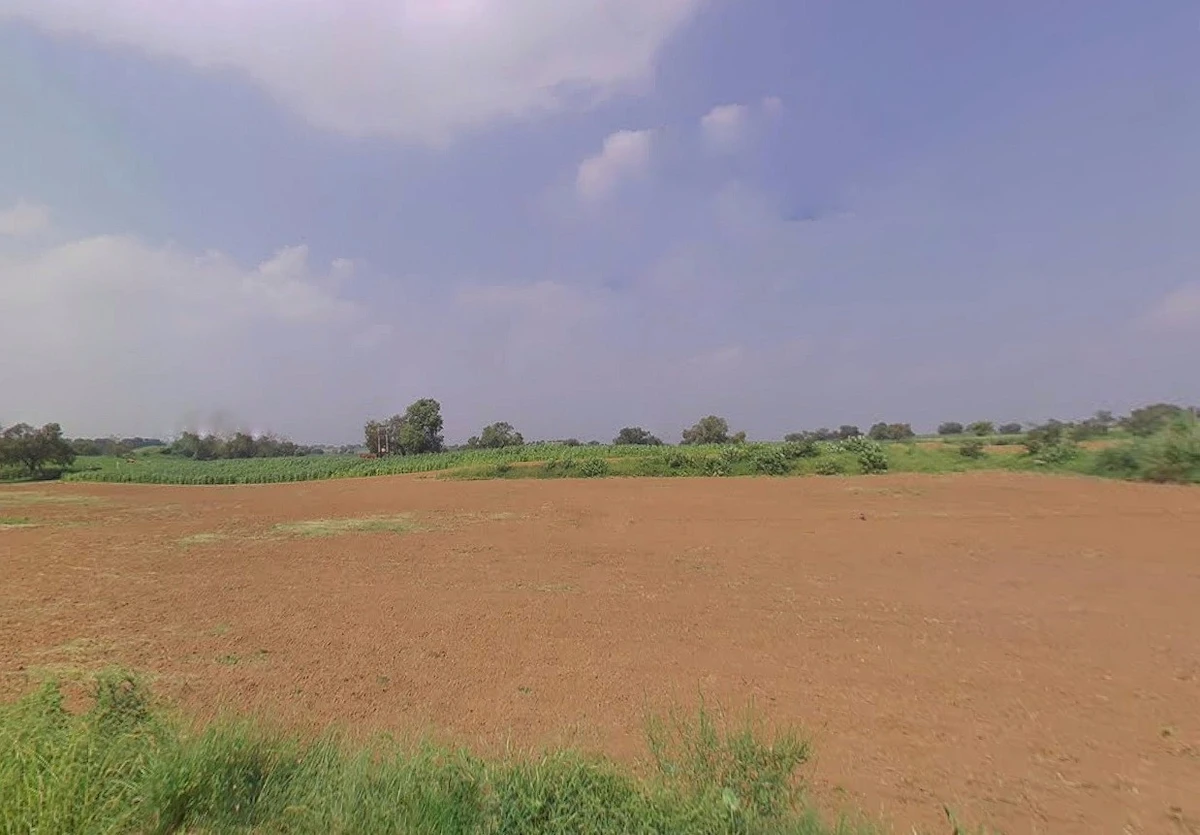 Badasirei, Puri, Odisha 752002, India