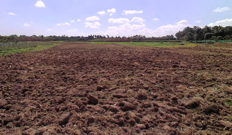 Doddamaluru, Karnataka 572127, India preview 3