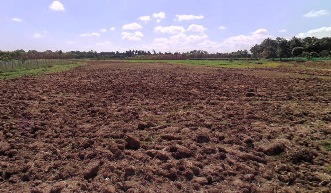 Doddamaluru, Karnataka 572127, India