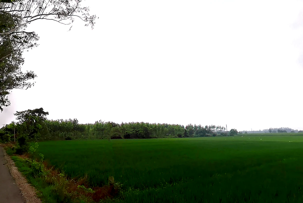 Jagadhri, Haryana, India