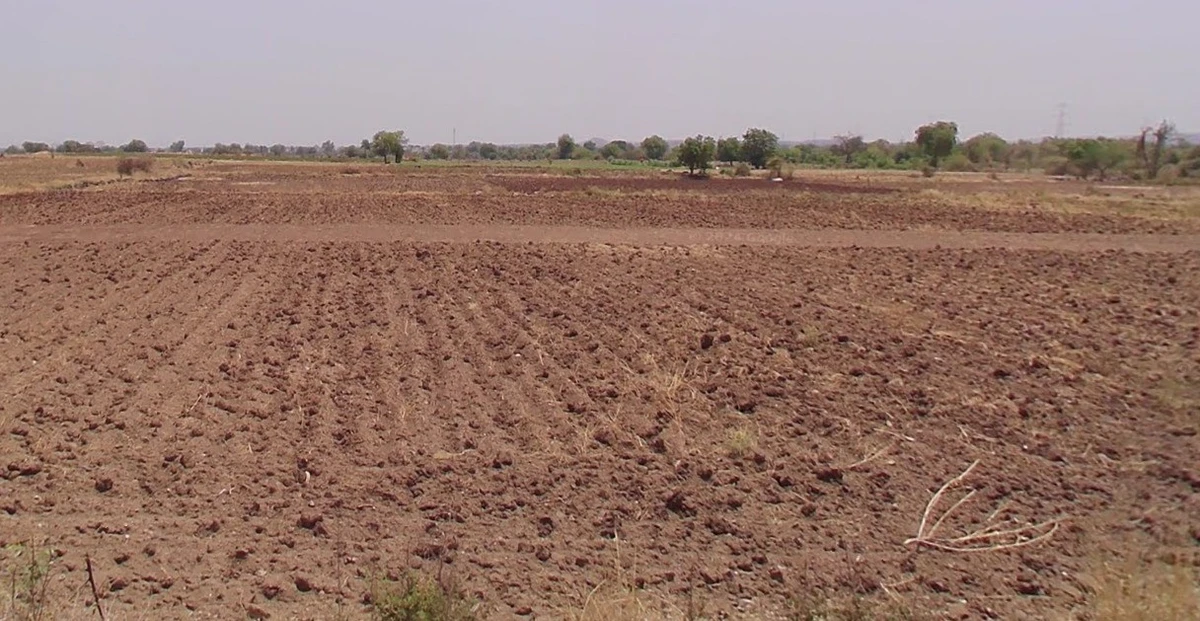 Shahpura, Madhya Pradesh 481990, India
