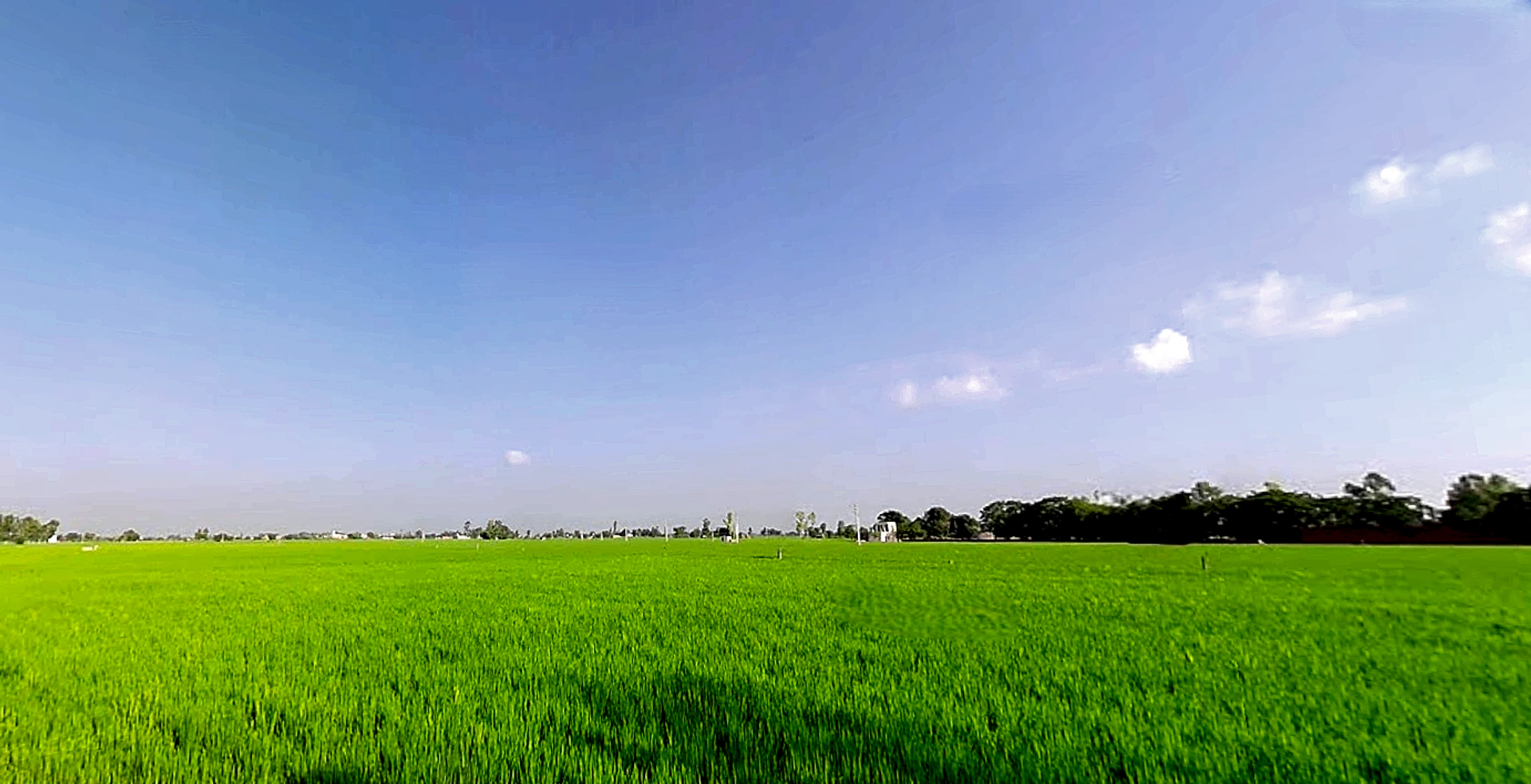 Balbehra, Punjab 147101, India