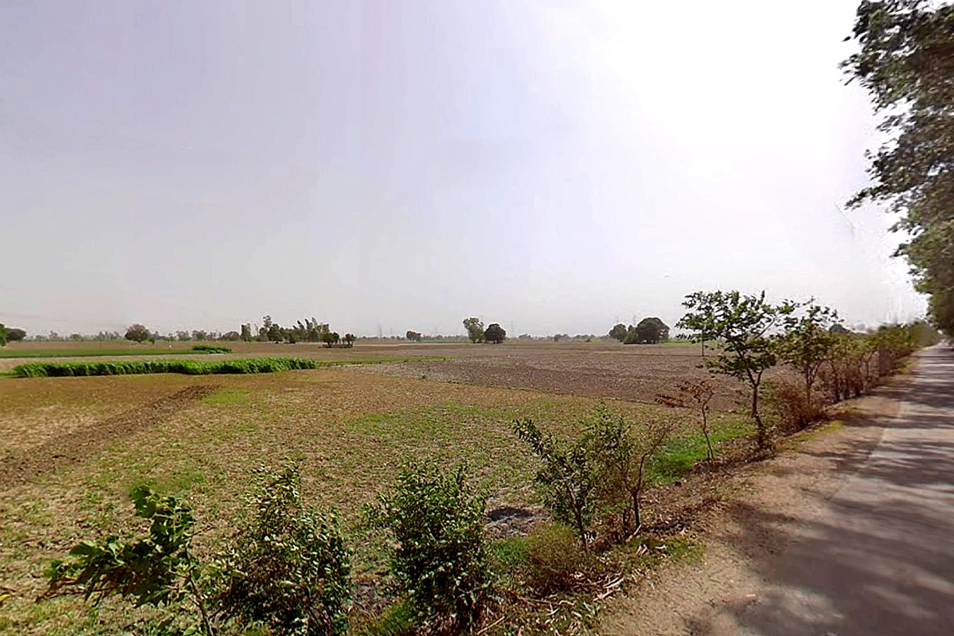 Bapauli, Haryana 132104, India